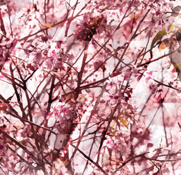 Similar image 8365053