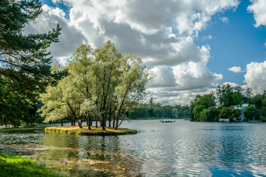 Similar image 8365230