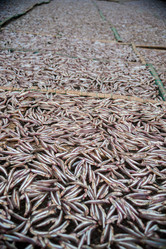 Similar image 8365292