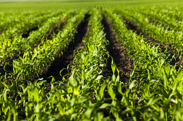 Similar image 8365376