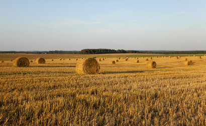 Similar image 8365406