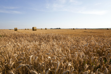 Similar image 8365464