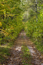 Similar image 8365530