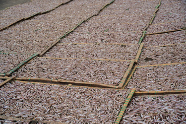 Similar image 8365669