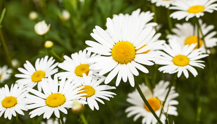 Similar image 8365745