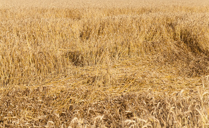 Similar image 8365783