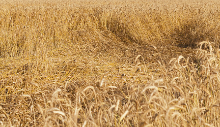 Similar image 8365786