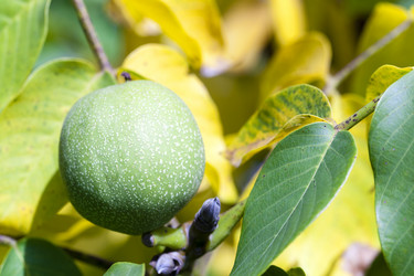 Similar image 8365795