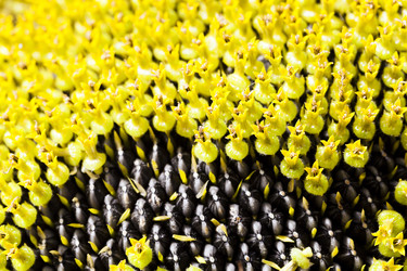 Similar image 8365820