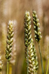 Similar image 8365834