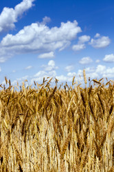 Similar image 8365836