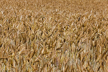 Similar image 8365839