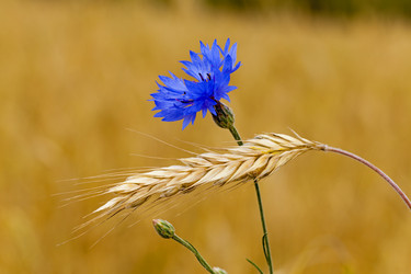 Similar image 8365862