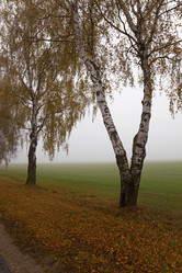 Similar image 8365951