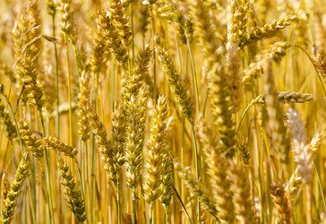 Similar image 8365965