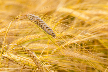 Similar image 8365967