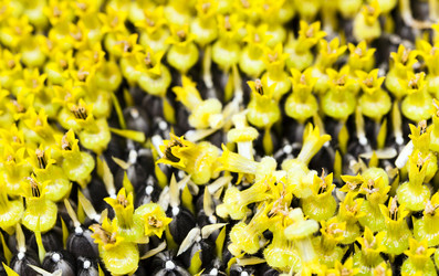 Similar image 8365975