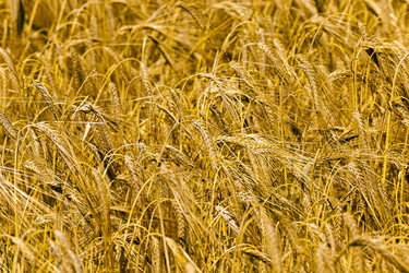 Similar image 8365985