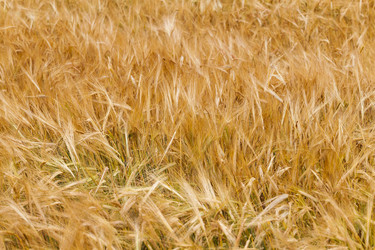 Similar image 8365987