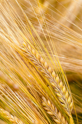 Similar image 8365988