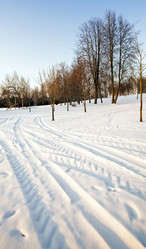 Similar image 8365990