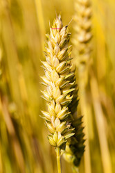 Similar image 8365994