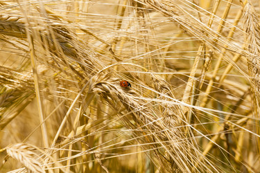 Similar image 8365996