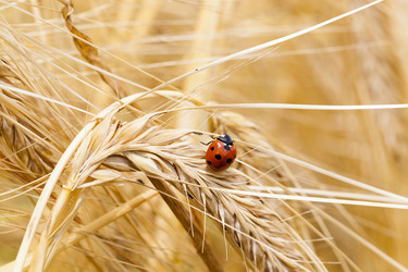 Similar image 8366028