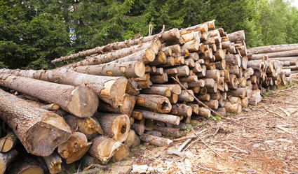 Similar image 8366058