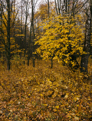 Similar image 8366092