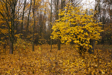 Similar image 8366093