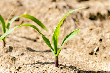 Similar image 8366098