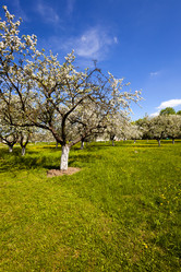 Similar image 8366103