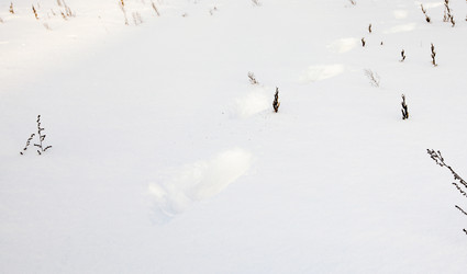 Similar image 8366105