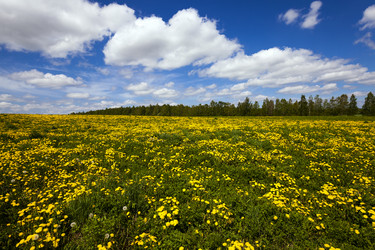 Similar image 8366123