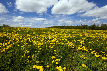 Similar image 8366124