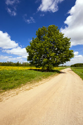 Similar image 8366125