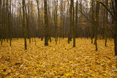 Similar image 8366155