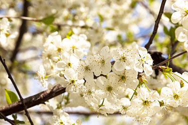 Similar image 8366183