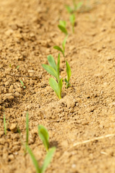 Similar image 8366245