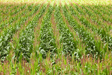 Similar image 8366254