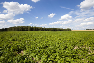 Similar image 8366264