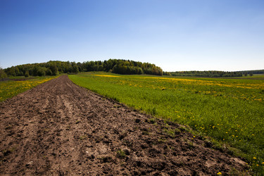 Similar image 8366274