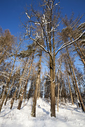 Similar image 8366276