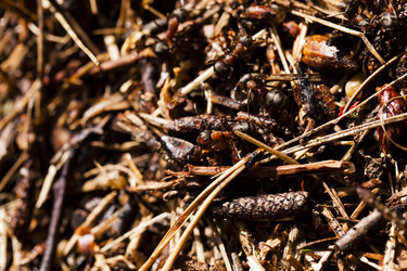 Similar image 8366279