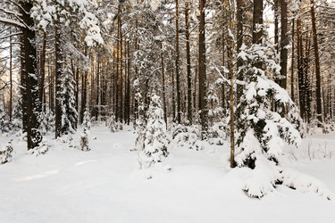 Similar image 8366283