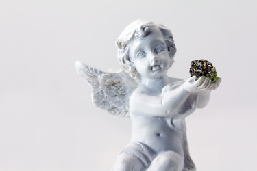 Similar image 8366289