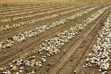 Similar image 8366296