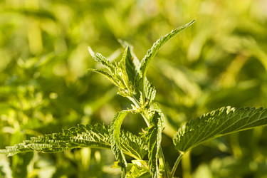 Similar image 8366301