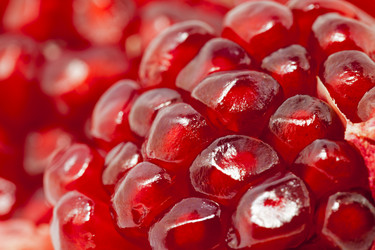 Similar image 8366360